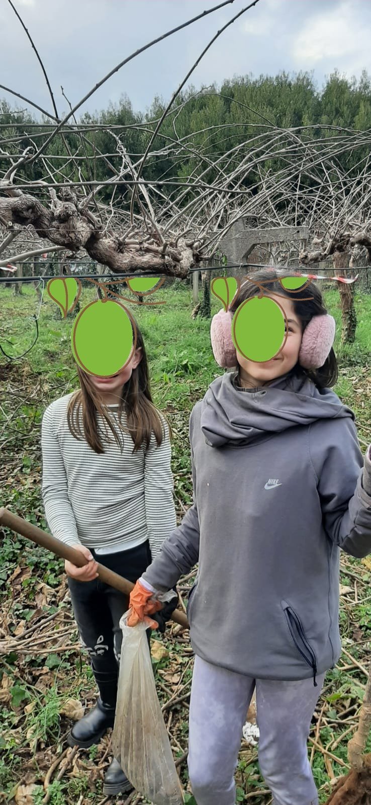 Desbroce manual en familia en la finca de kiwi ecológico